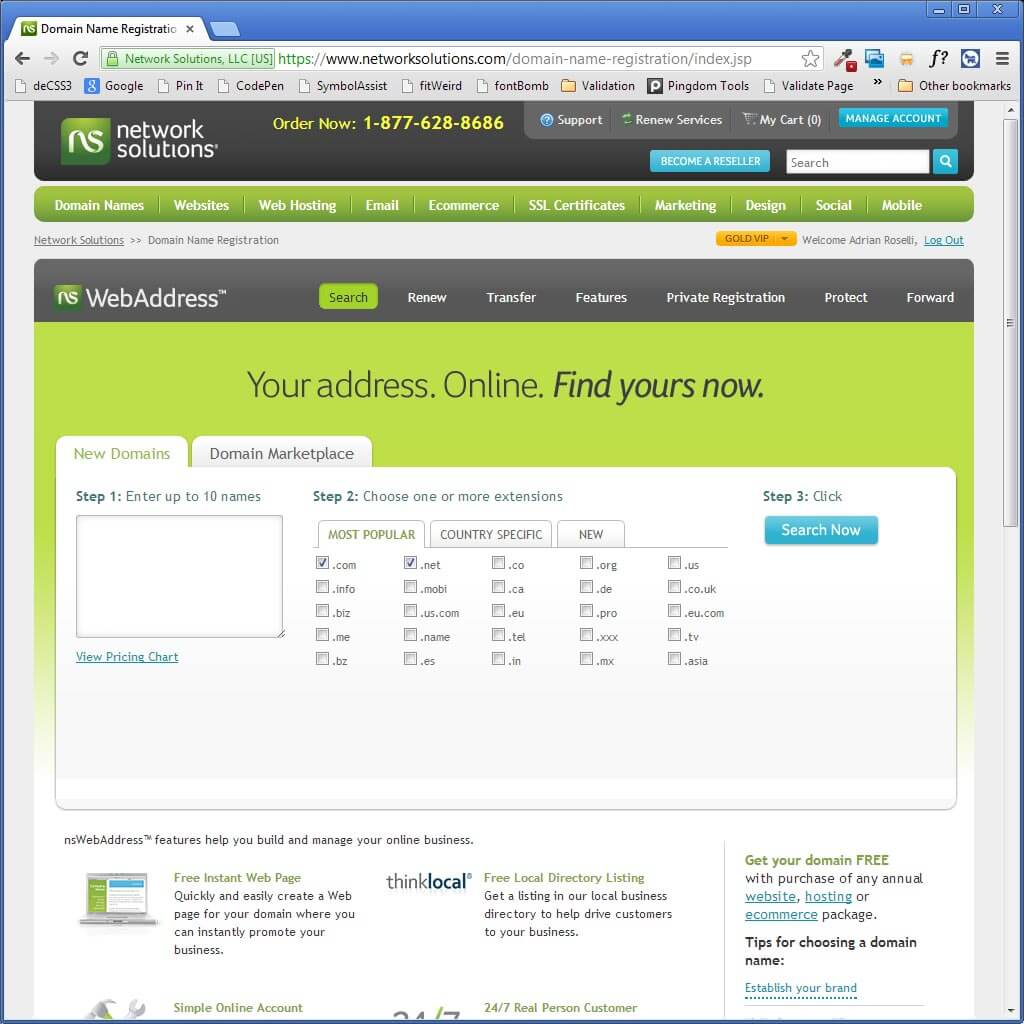 NetSol Account Manager page for my company account.